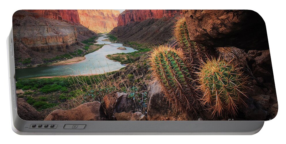 America Portable Battery Charger featuring the photograph Nankoweap Cactus by Inge Johnsson