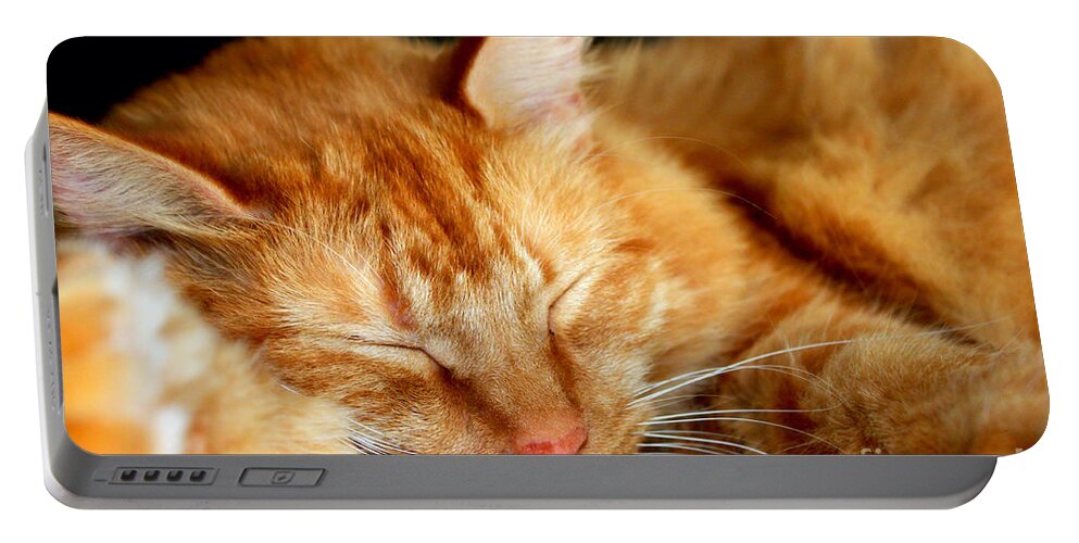 Feline Portable Battery Charger featuring the photograph Naptime by Todd Blanchard