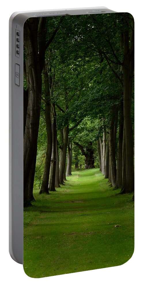 Light Portable Battery Charger featuring the photograph Narrow Tree Path by Scott Lyons