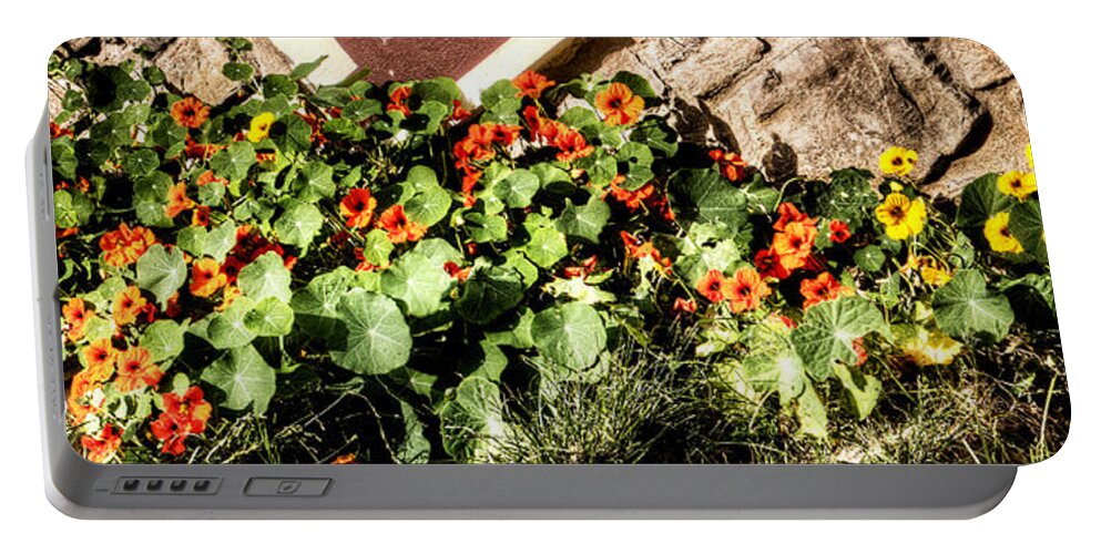 Nasturtium Portable Battery Charger featuring the photograph Nasturtium against the wall by Weston Westmoreland