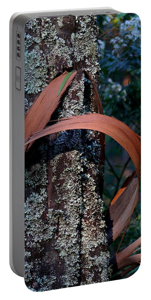 Eucalypt Portable Battery Charger featuring the photograph Natural Bands 1 by Evelyn Tambour