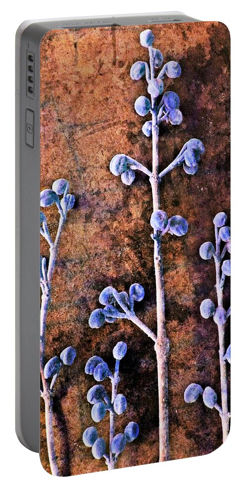 Nature Portable Battery Charger featuring the digital art Nature Abstract 25 by Maria Huntley