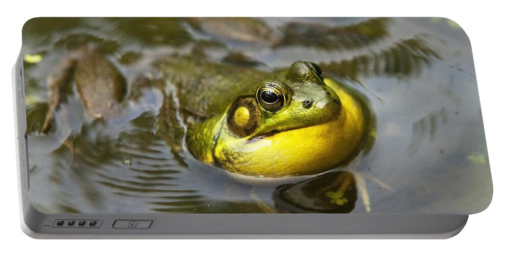 Frog Portable Battery Charger featuring the photograph Nature Calling by Christina Rollo