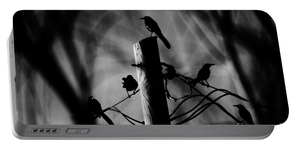 Birds Portable Battery Charger featuring the photograph Nature in the Slums by Jessica S