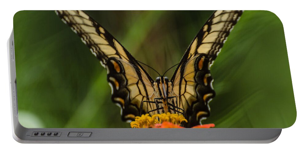 Insect Portable Battery Charger featuring the photograph Nature Stain Glass by Donna Brown