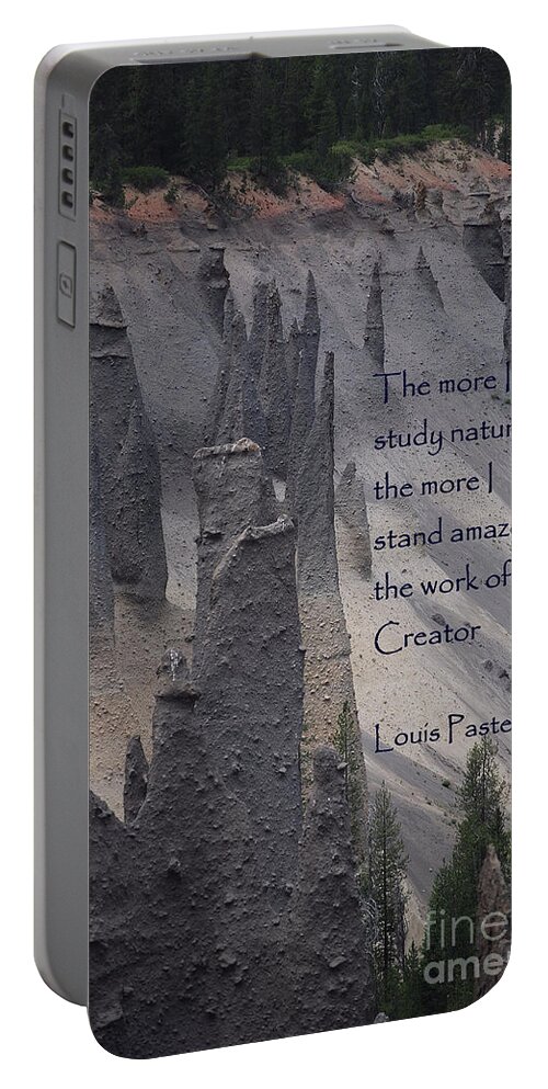 #catholcartgallery Portable Battery Charger featuring the photograph Nature Study by Sharon Elliott