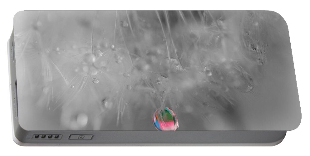 Dew Drop Portable Battery Charger featuring the photograph Nature's Crystal Ball by Marianna Mills