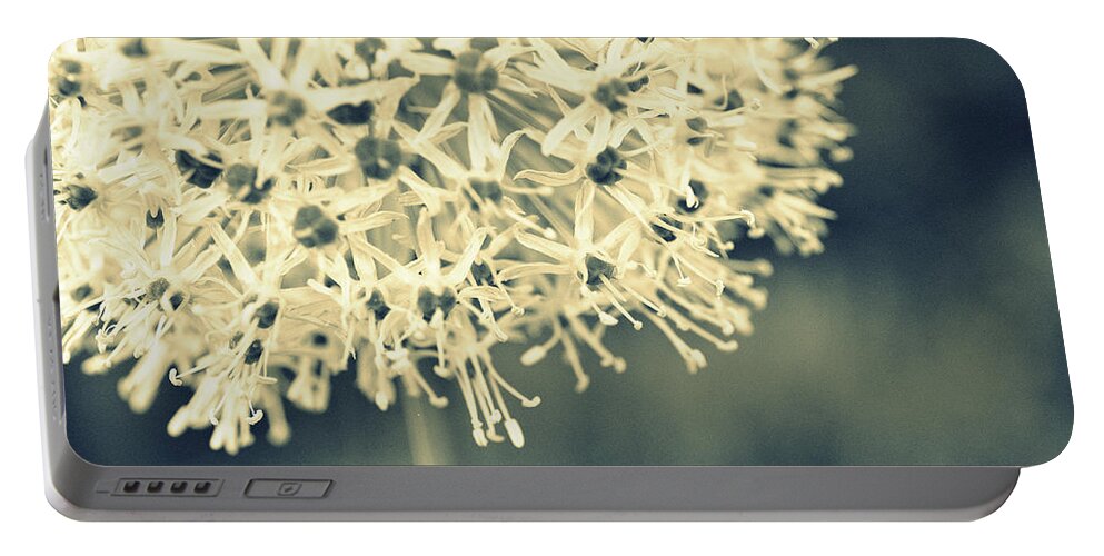 Flower Portable Battery Charger featuring the photograph Nature's Popcorn Ball by Andrea Platt