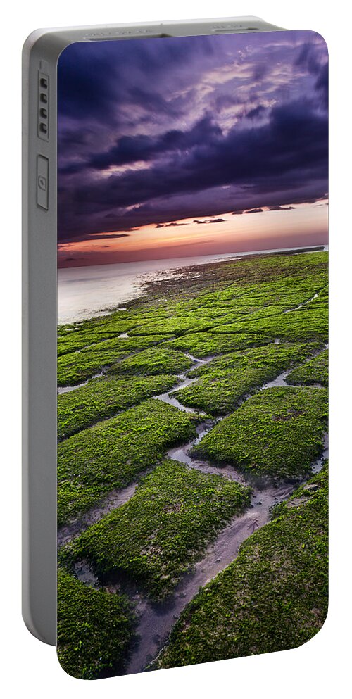 Beach Portable Battery Charger featuring the photograph Nature's promenade by Jorge Maia