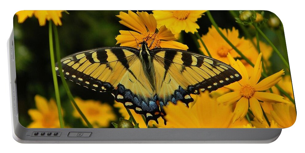 Nature Portable Battery Charger featuring the photograph Nature's Symmetry by Jean Goodwin Brooks