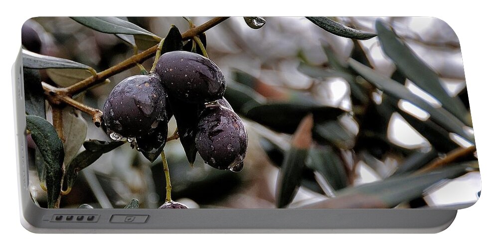 Israel Portable Battery Charger featuring the photograph Nazareth Olives Israel by Mark Fuller