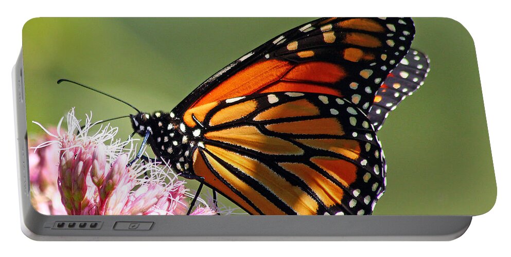 Butterfly Portable Battery Charger featuring the photograph Nectaring Monarch Butterfly by Debbie Oppermann