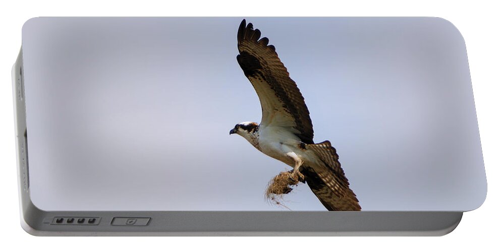 Osprey Portable Battery Charger featuring the photograph Nest Builder by Michael Dawson