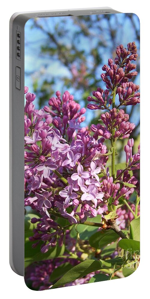 Purple Portable Battery Charger featuring the photograph Purple Lilac by Eunice Miller