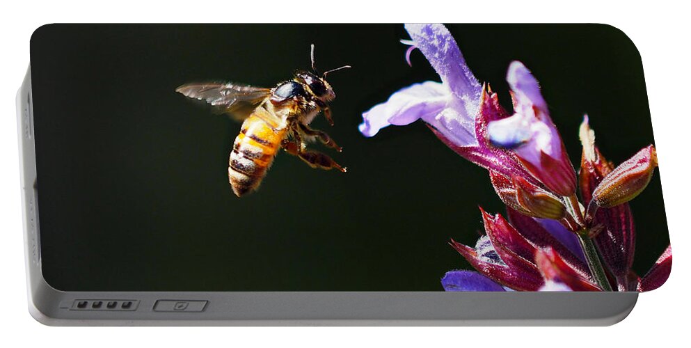 Bees Portable Battery Charger featuring the photograph New Rider of the Purple Sage by Joe Schofield