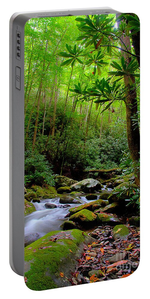 Stream Portable Battery Charger featuring the photograph New Season Along The River 2 by Michael Eingle