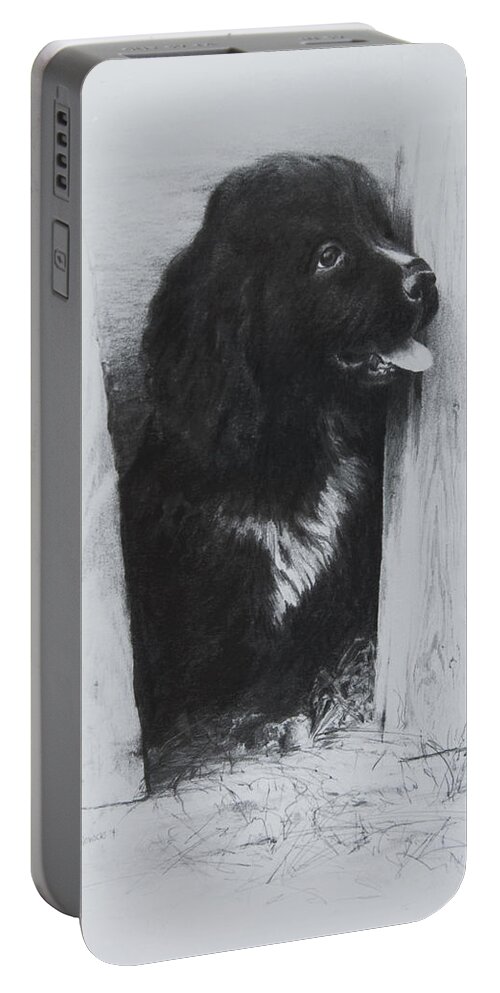 Dog Portable Battery Charger featuring the drawing Newfoundland Puppy by William Russell Nowicki