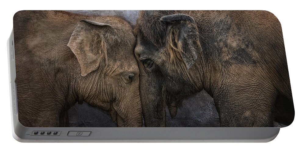 Animal Portable Battery Charger featuring the photograph Nighty Night Darling by Joachim G Pinkawa