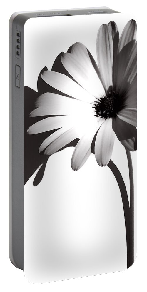 Flowers Portable Battery Charger featuring the photograph No Colour Needed by J C