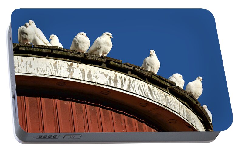 Birds Portable Battery Charger featuring the photograph No Place Like Home by Nikolyn McDonald