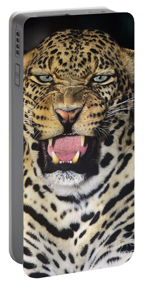 African Leopard Portable Battery Charger featuring the photograph NO SOLICITORS African Leopard Endangered Species Wildlife Rescue by Dave Welling