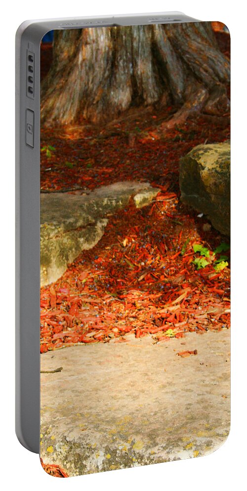 Tree Portable Battery Charger featuring the photograph Nome Land by JamieLynn Warber