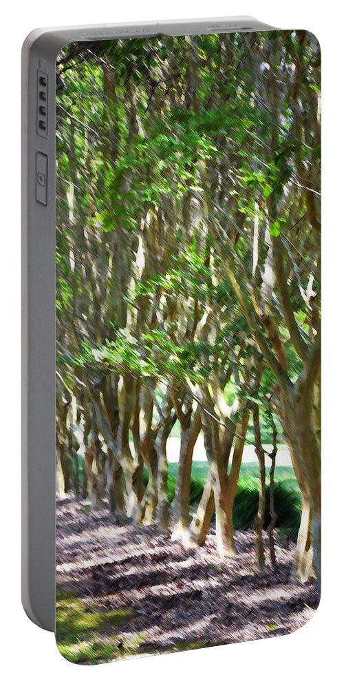 Favorite Spot In The Gardens Portable Battery Charger featuring the painting Norfolk Botanical Garden 5 by Jeelan Clark