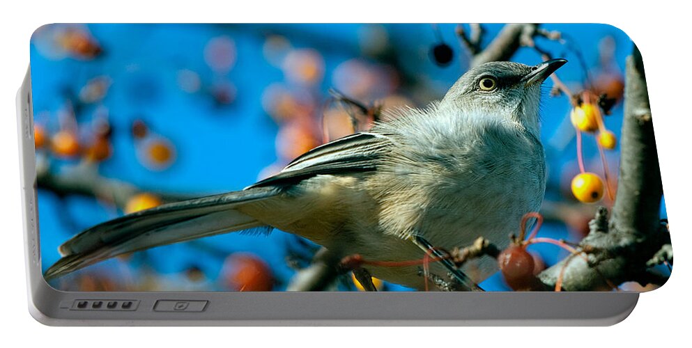 Mockingbird Portable Battery Charger featuring the photograph Northern Mockingbird by Bob Orsillo
