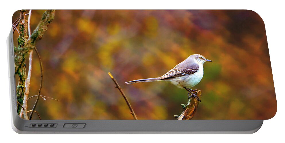 Bird Portable Battery Charger featuring the photograph Northern Mockingbird by Deena Stoddard