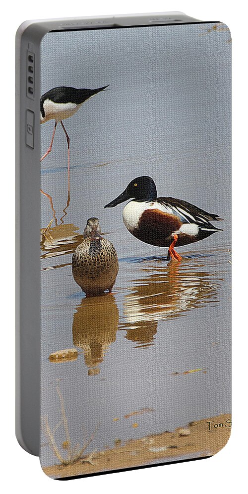 Northern Shovelers And Stilt Portable Battery Charger featuring the photograph Northern Shovelers And Stilt by Tom Janca
