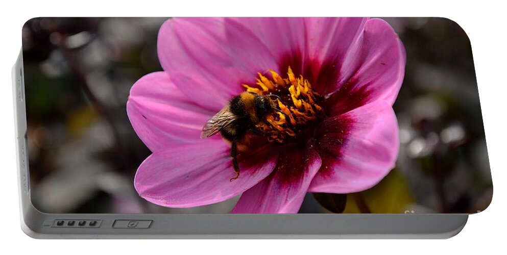 Plant Portable Battery Charger featuring the photograph Nosy Bumble Bee by Scott Lyons