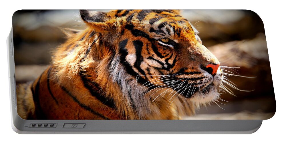 Tiger Portable Battery Charger featuring the photograph Not a Tigger by Lynn Sprowl