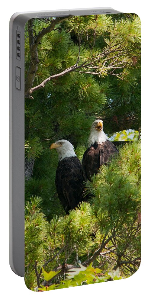 Bald Eagle Portable Battery Charger featuring the photograph Not Listening by Brenda Jacobs