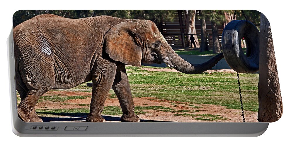 #elephant Portable Battery Charger featuring the photograph Not snack there by Miroslava Jurcik