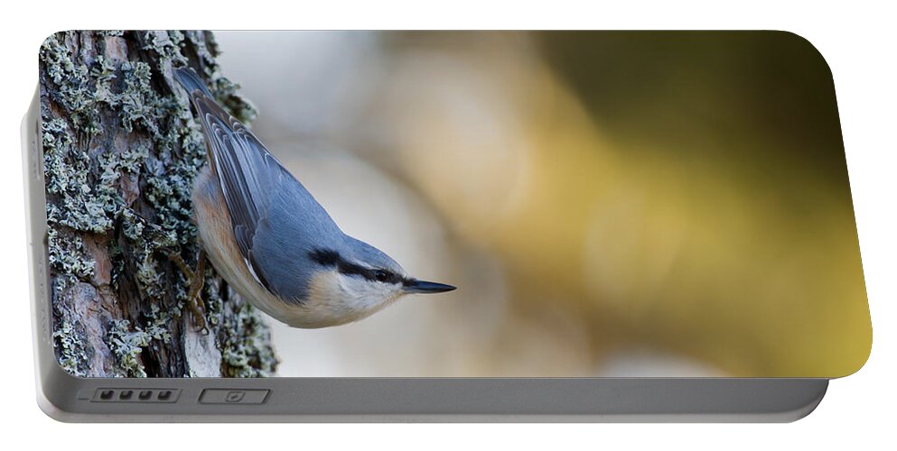 Nuthatch Portable Battery Charger featuring the photograph Nuthatch in the classical position by Torbjorn Swenelius