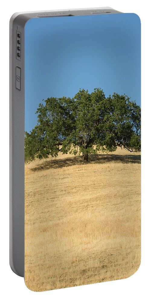 538012 Portable Battery Charger featuring the photograph Oak Tree Mount Diablo State Park by Kevin Schafer