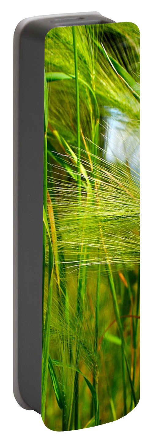 Ocean Portable Battery Charger featuring the photograph Ocean Breeze by Frozen in Time Fine Art Photography