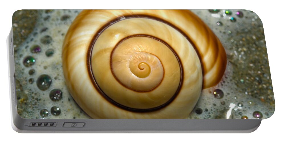 Shell Portable Battery Charger featuring the photograph Ocean Shell Spiral by Sandi OReilly