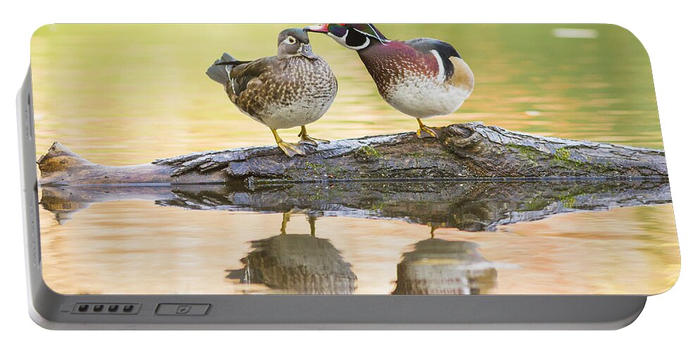 Wood-duck Portable Battery Charger featuring the photograph October Love Story by Mircea Costina Photography