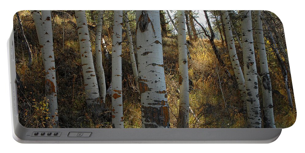Aspen Portable Battery Charger featuring the photograph October Odessey by Donna Blackhall