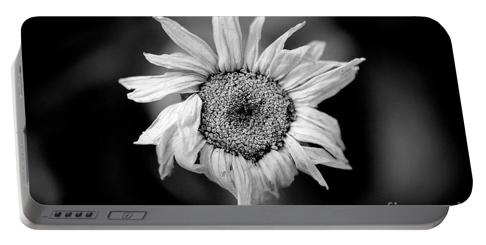 Flower Portable Battery Charger featuring the photograph Old Beauty by Michael Arend