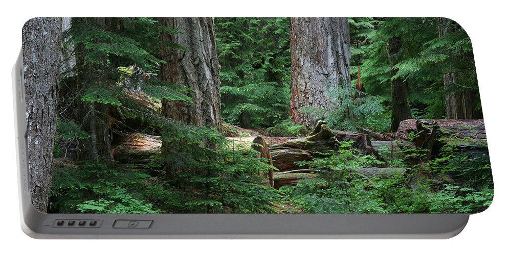 Mount Rainier National Park Portable Battery Charger featuring the photograph Old Growth by Paul Schultz