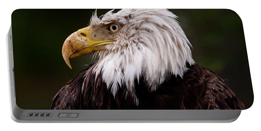 Eagle Portable Battery Charger featuring the photograph Old Warrior by Brent L Ander