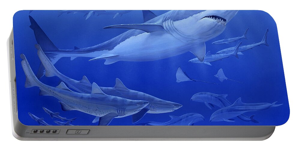 Prehistoric Portable Battery Charger featuring the photograph Oligocene Sea by Chase Studio