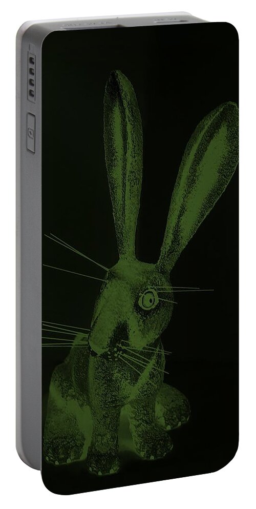 Rabbit Portable Battery Charger featuring the photograph Olive Green New Mexico Rabbit by Rob Hans