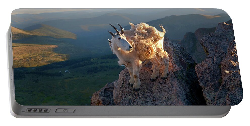 Mountain Goats; Sunset; Overlook; Mountain Momma; Goat; Nature; Wildlife; Baby Animal; Mother; Precipice; Outcrop; Cliff; Windy; Portable Battery Charger featuring the photograph On a Clear Day by Jim Garrison