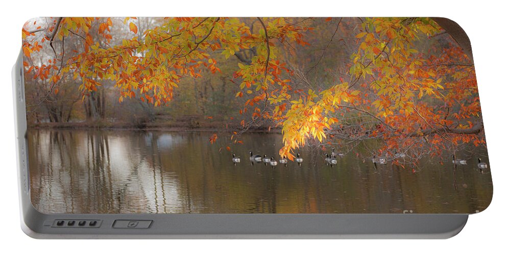 Pond Portable Battery Charger featuring the photograph Peavefull Pond Reflections by Dale Powell