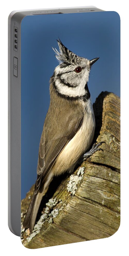 On The Edge Portable Battery Charger featuring the photograph On the edge by Torbjorn Swenelius
