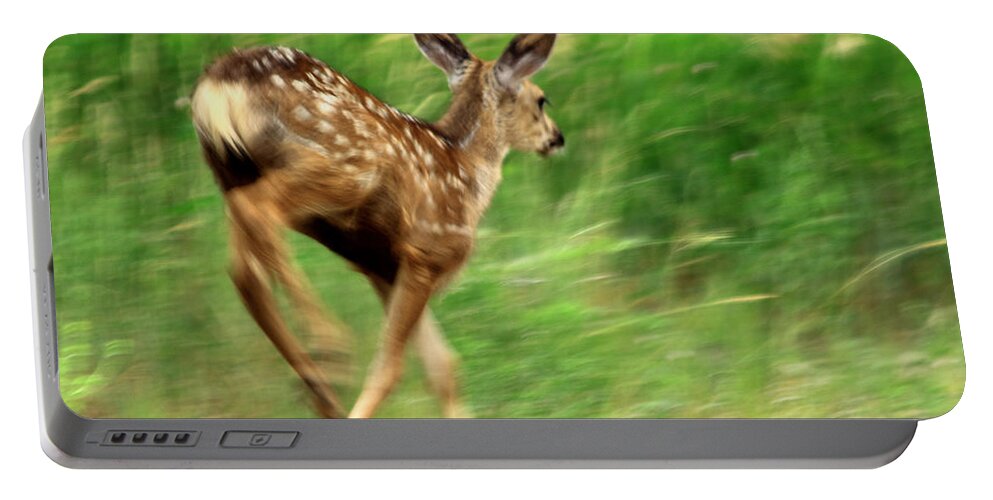 Deer Portable Battery Charger featuring the photograph On The Move by Shane Bechler