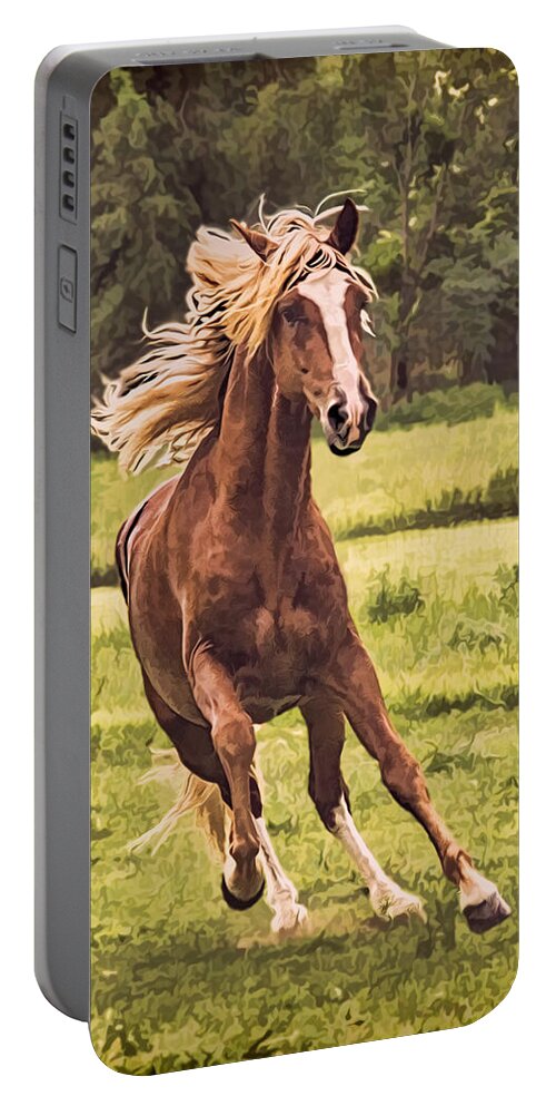 Horse Portable Battery Charger featuring the photograph On the Run by Priscilla Burgers